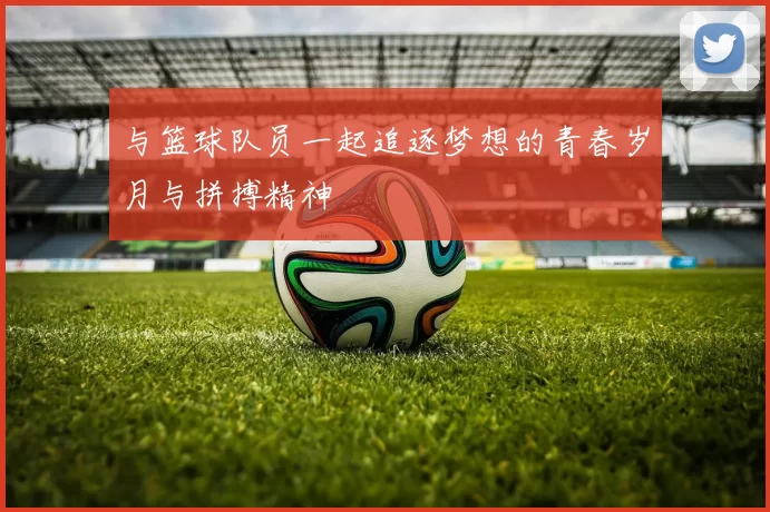 与篮球队员一起追逐梦想的青春岁月与拼搏精神