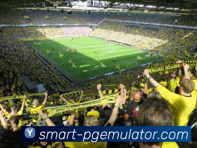 多媒体互动体验